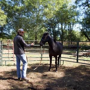 Meet your Posher, Sean